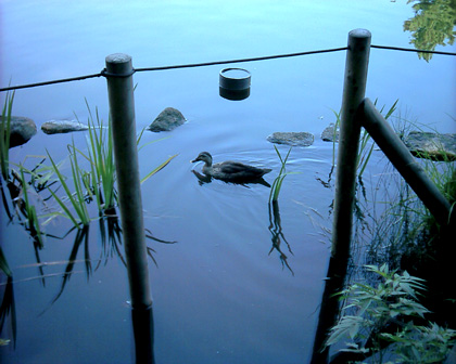 DSC_0727.jpg